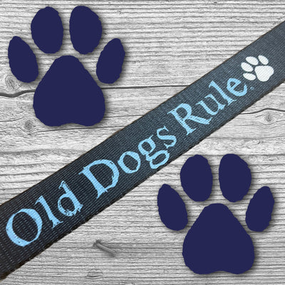 Old Dogs Rule Dog Collar