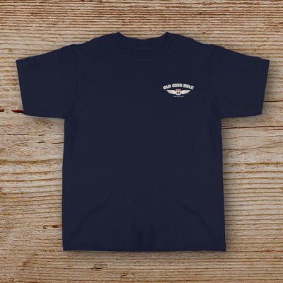 Limited Edition - Red, White & Blue Route 66 Revisited