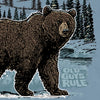 The Bear